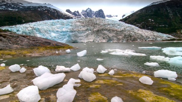 Pia glacier in Tierra del Fuego, Patagonia.