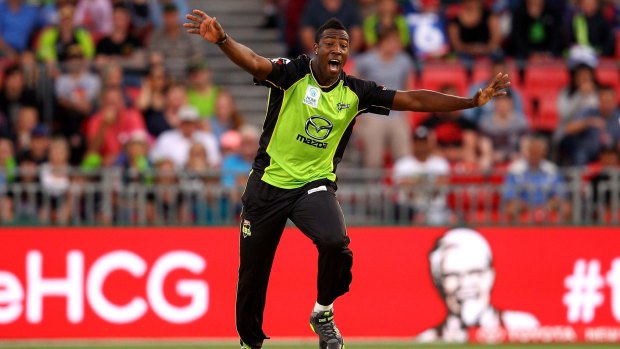 All-round star: Andre Russell celebrates a wicket for the Sydney Thunder.