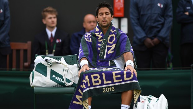 Fernando Verdasco.