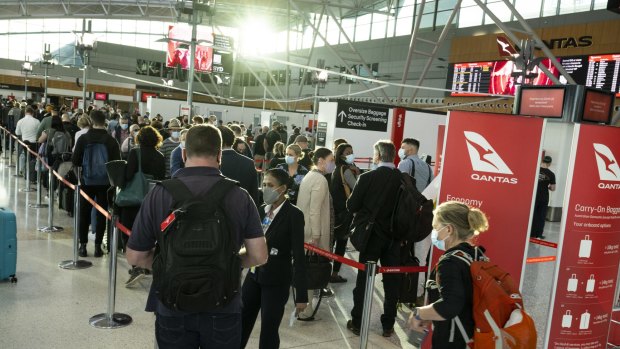 Qantas passengers queue at Sydney Airport last month.