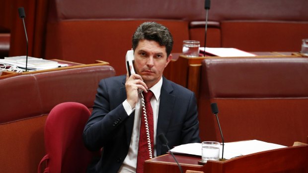 Scott Ludlam has been tackled by the uncompromising and hatchet-faced section 44 of our 1901 Constitution.