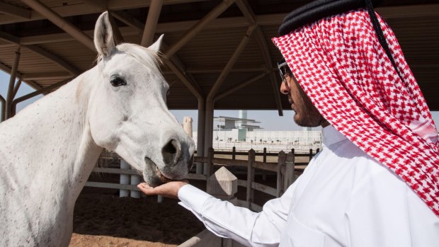 Long before Qatar became one of the world's fastest growing economies, it was revered for its horses.