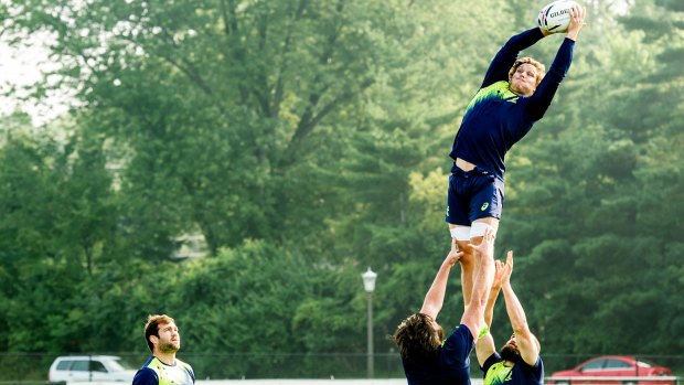 Jumping to it: Michael Hooper goes up for a lineout as the Wallabies train at Stinson Rugby Field, University of Notre Dame, Indiana. 
