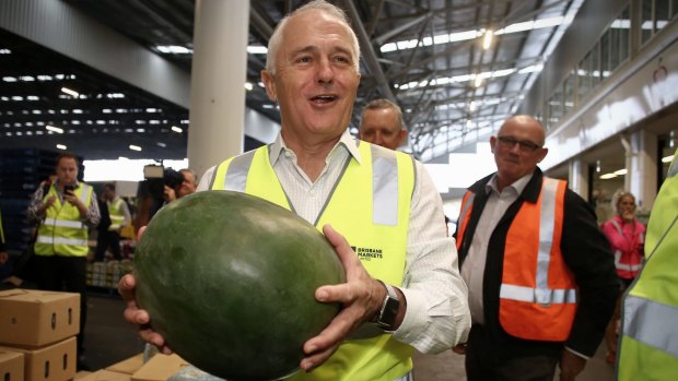 The Prime Minister examines a watermelon on his visit to the Brisbane Markets 