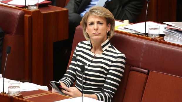 Employment Minister Michaelia Cash during question time on Wednesday.