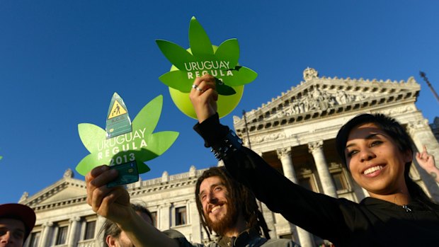 Activists gather in front of Uruguayan Congress in support of the legalisation of marijuana in 2013.