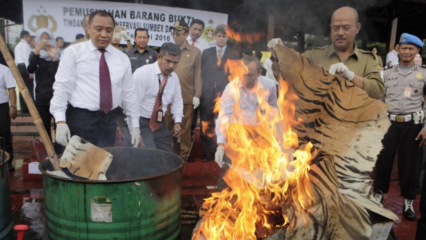 Indonesian officials burn products made from the illegal poaching of tigers and other protected animals in Jakarta last week.

 