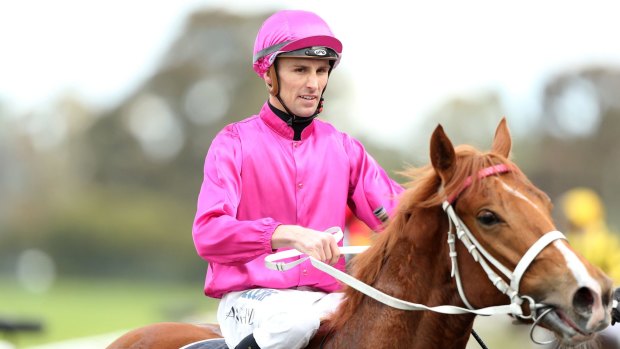 Straight and narrow: Japonisme is Chris Waller's last chance of a group 1 win at Flemington in 2016.