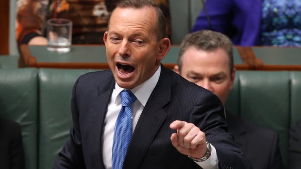 Former prime minister Tony Abbott was sent to the backbench following the September leadership spill.
