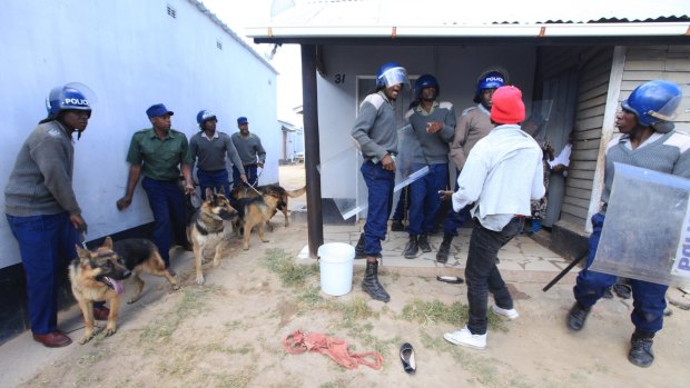 Armed Zimbabwean police and dog handlers in Harare last week.