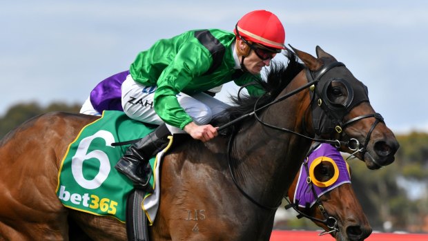 Weather With You showed plenty of courage to win the Geelong Classic on Wednesday.