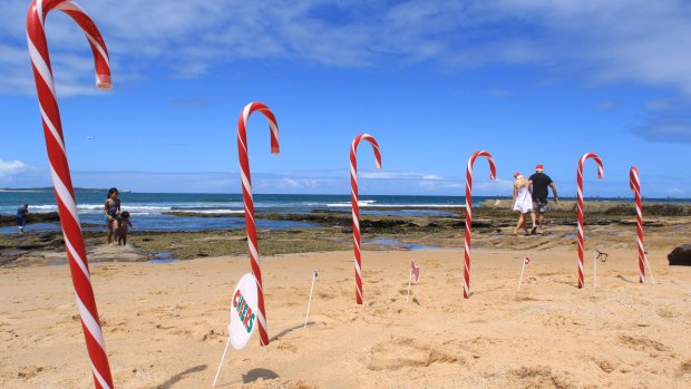 A walk among the candy canes on Shelly Beach, Cronulla, Sydney.