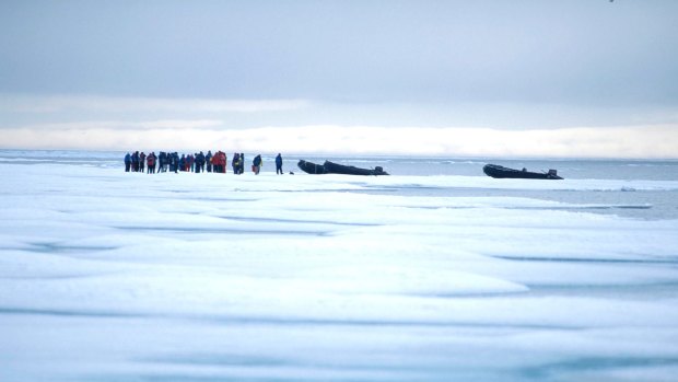 Icewalk: Walking on Arctic sea ice is a unique summer experience that is only occasionally possible.