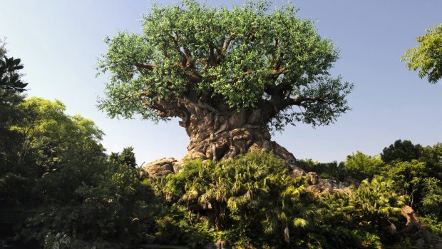 Animal Kingdom's The Tree of Life is located on Discovery Island, which took its name from the now-closed Walt Disney World park.