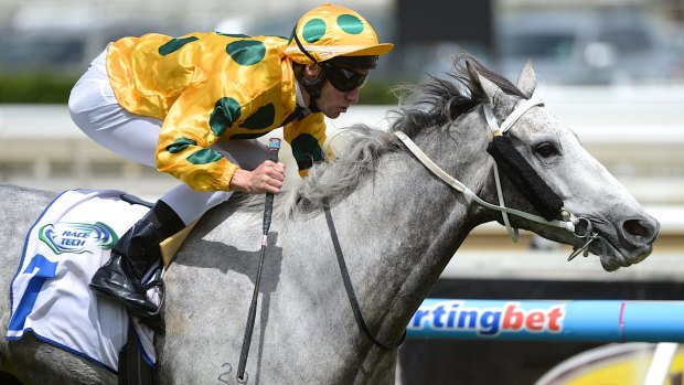 Bolter: James Winks has been chosen to ride Lightning Stakes favourite Deep Field.
