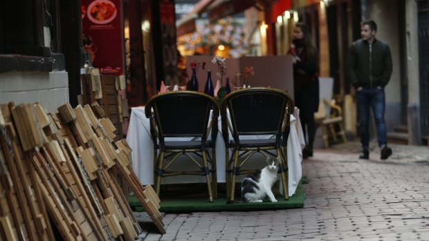 A cat sits under a restaurant chair on the Rue des Bouchers, normally a busy tourist area of Brussels, on Monday.
