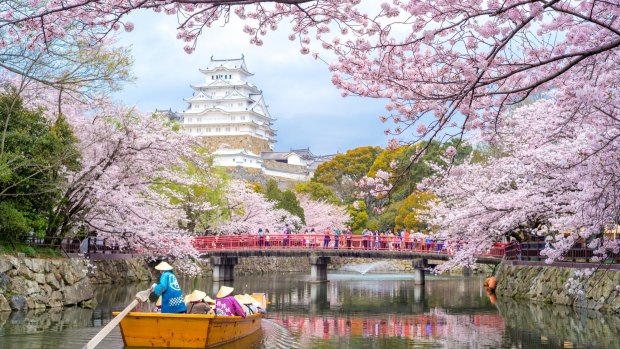 The annual cherry-blossom-viewing season in April is now a possibility for independent travellers.