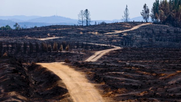 A roads cuts through a landscape razed by wildfires in Chile's Cauquenes community.