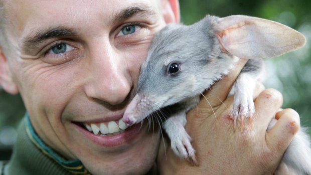 Zookeeper Chad with a bilby.