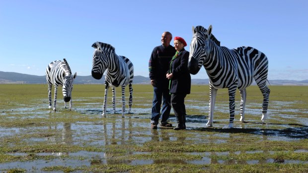 Alan and Julie Aston with their Lake George zebras.