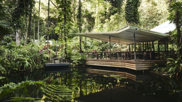 Dine over a jungle lagoon at Daintree Ecolodge.