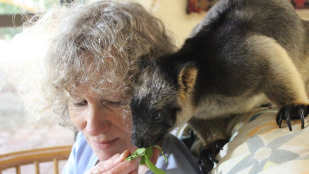 Margit shares a special bond with her tree kangaroo, Kimberley.