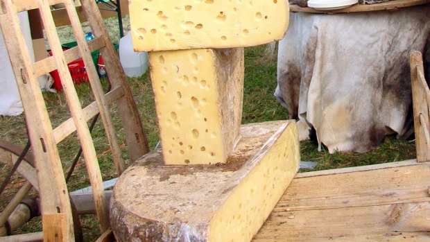 Real Emmental? Switzerland has turned to DNA fingerprinting to protect its industry against cheese forgeries.