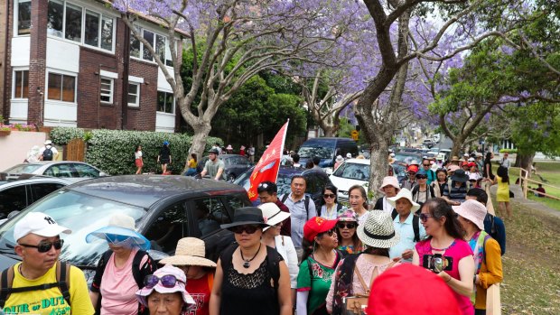 Chinese tourists visit the jacaranda trees in bloom on McDougall St, Kirribilli, Sydney.