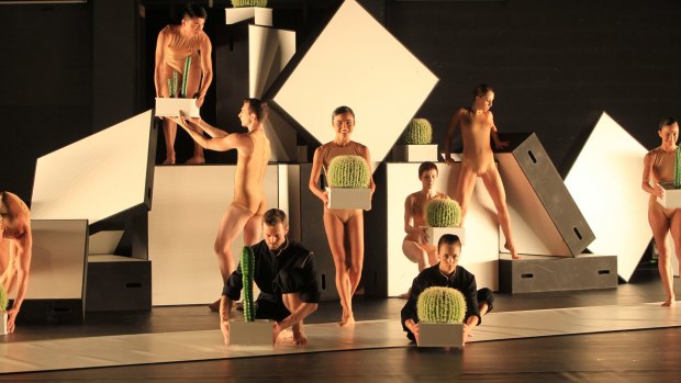 A preview of Cacti by Swedish choreographer Alexander Ekman, coming to Canberra Theatre Centre and Southbank Theatre, Melbourne, in May. 