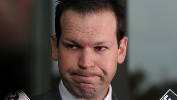 Matthew Canavan declared to the High Court that he had in fact been an Italian citizen since he was two.