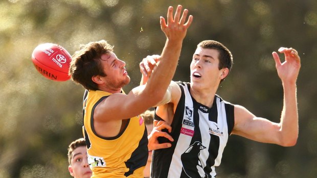 Mason Cox of Collingwood (right) and Shaun Hampson of Richmond compete for the ball.