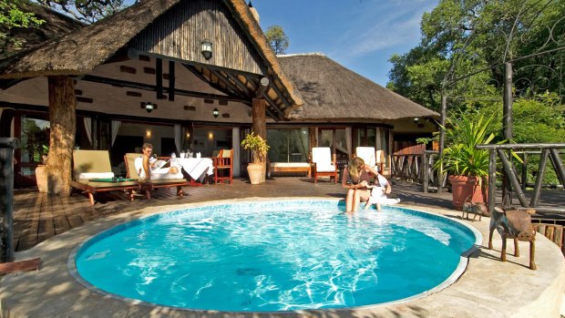 Sanctuary Sussi & Chuma features 12 luxury treehouses on the banks of the Zambezi.