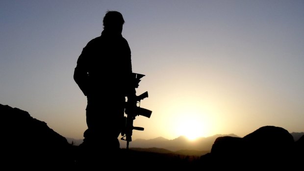Defence figures believe a close examination of Australia's special forces is justified.