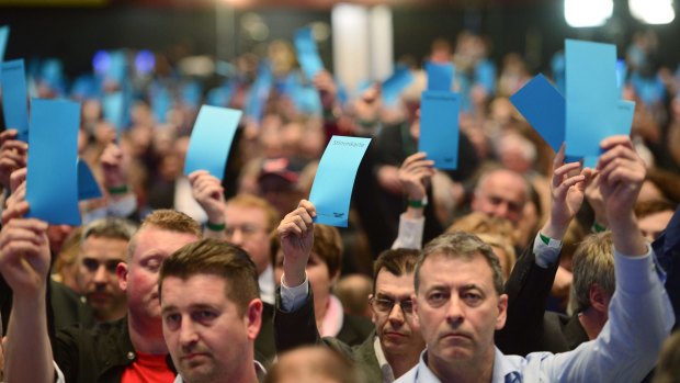 Delegates vote at the Alternative for Germany (AfD) federal congress.