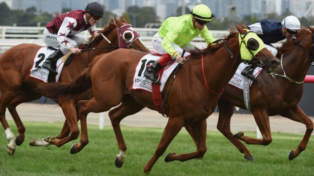 Railway homecoming: He Or She was impressive in winning the Blamey Stakes at Flemington this year.