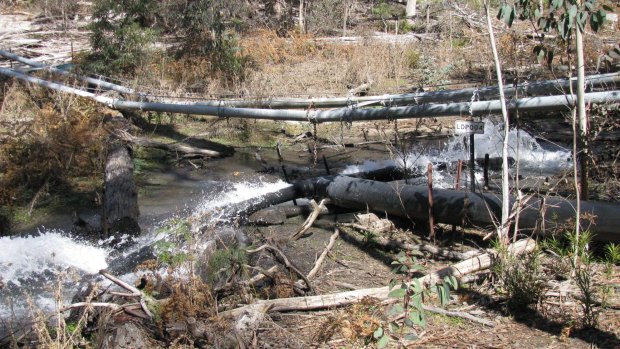 Springvale mine was pumping polluted mine water into the top of the East Wolgan swamp in Sept 2008. The swamp has been extensively damaged as the polluted water killed off all the vegetation and also ground cracking caused by subsidence resulted in the swamp draining and drying out.