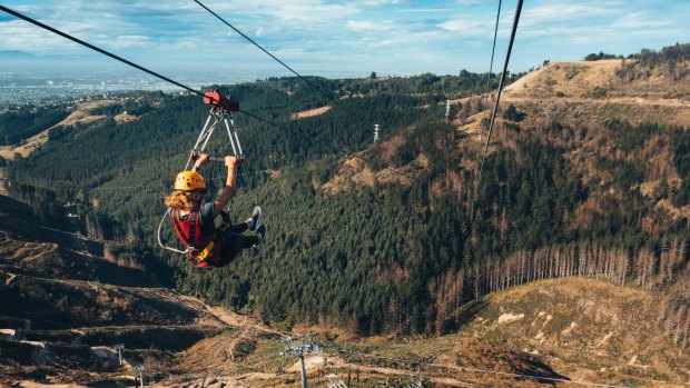 Ziplining in the adventure park.