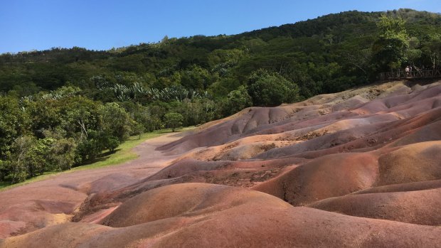 In the Chamarel region you can see the "Seven Colours Earth", where the earth offers a rainbow of colours and nothing grows.