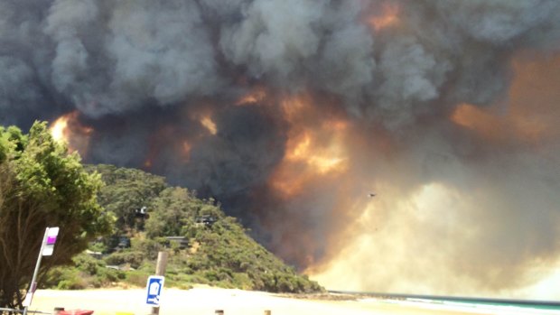 The Emergency Management report  found the Surf Coast destruction was not caused by back burning and that ire authorities had taken the appropriate actions while fighting the blaze.