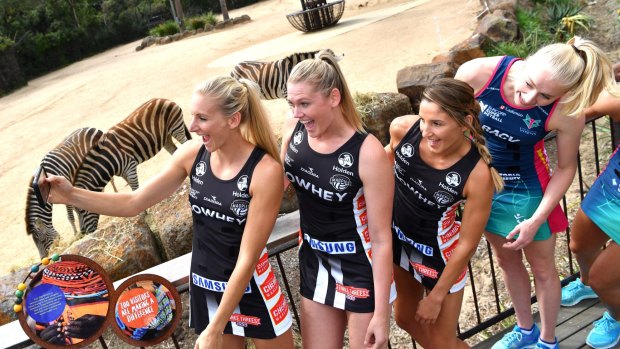 Super Netball is go: Collingwood players April Brandley, Caitlyn Thwaites and Kim Ravaillion and the Vixens' Jo Weston at Melbourne Zoo on Thursday. 
