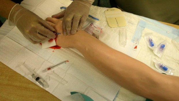 Students practice on a latex dummy at the University of Sydney's medical school.