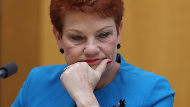 Pauline Hanson is the kingmaker in influencing the fate of the Australian media industry.