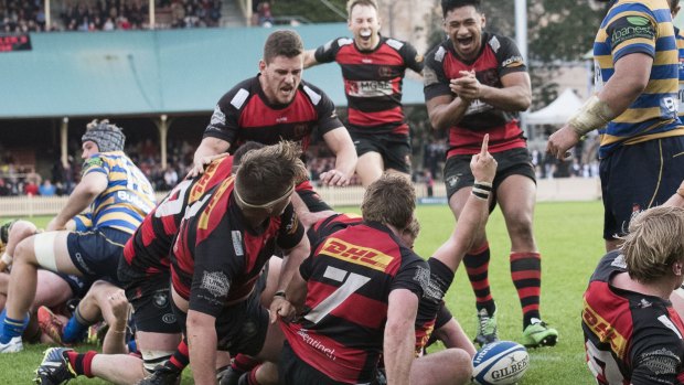 Breakthrough: Richard Woolf scores Norths' shield-winning try.