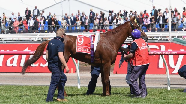 Fan favourite: Red Cadeaux died last year after complications from leg surgery following injuries suffered in the Melbourne Cup.