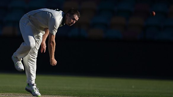 Cricket: Canberra's Tom Rogers eyes dream Sheffield Shield win for Tasmania