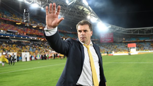 Socceroos coach Ange Postecoglou wants a stepping stone to the A-League