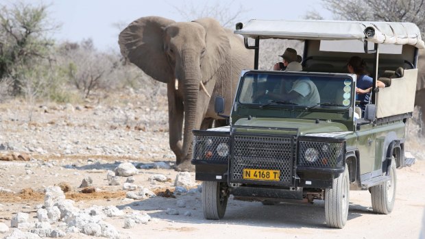 Behind the wheel of your own vehicle, tackling the experience on your own, is the best way to see Africa. 