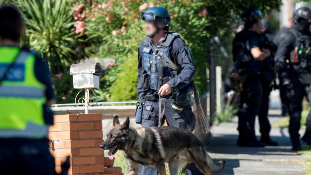 A policeman and dog at the scene of the St Albans stand-off and raid.