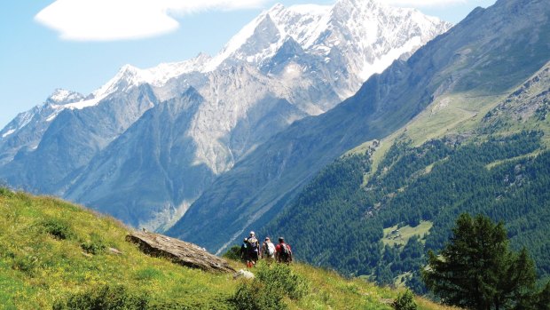 Each year more than 10,000 people hike the equivalent Tour du Mont Blanc (TMB), and yet hours will regularly pass on the Tour de Monte Rosa without us seeing another hiker.