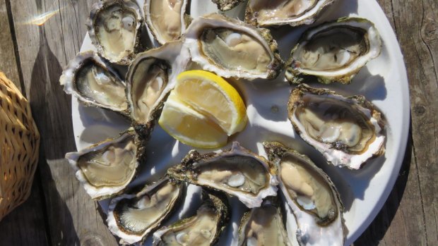 Oysters from Arcachon Bay on the Atlantic coast.